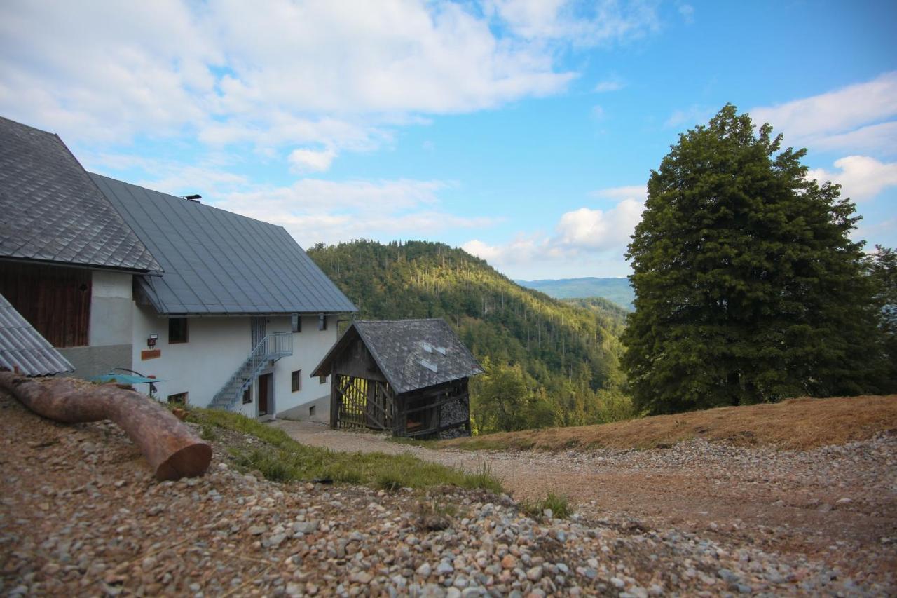 Srednja Vas v Bohinju Apartma Gorski Razgled מראה חיצוני תמונה
