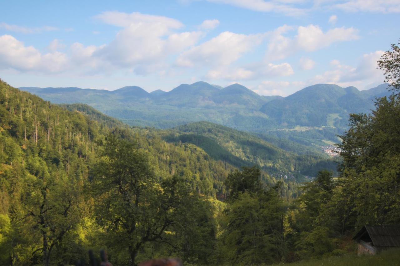 Srednja Vas v Bohinju Apartma Gorski Razgled מראה חיצוני תמונה